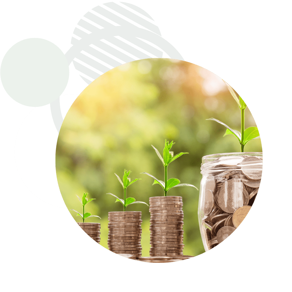 Insurnova-Patrimonio-e-Investimento
